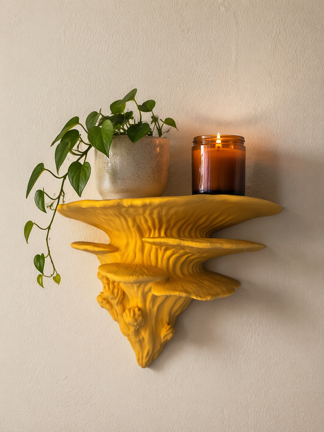Mushroom Shelf