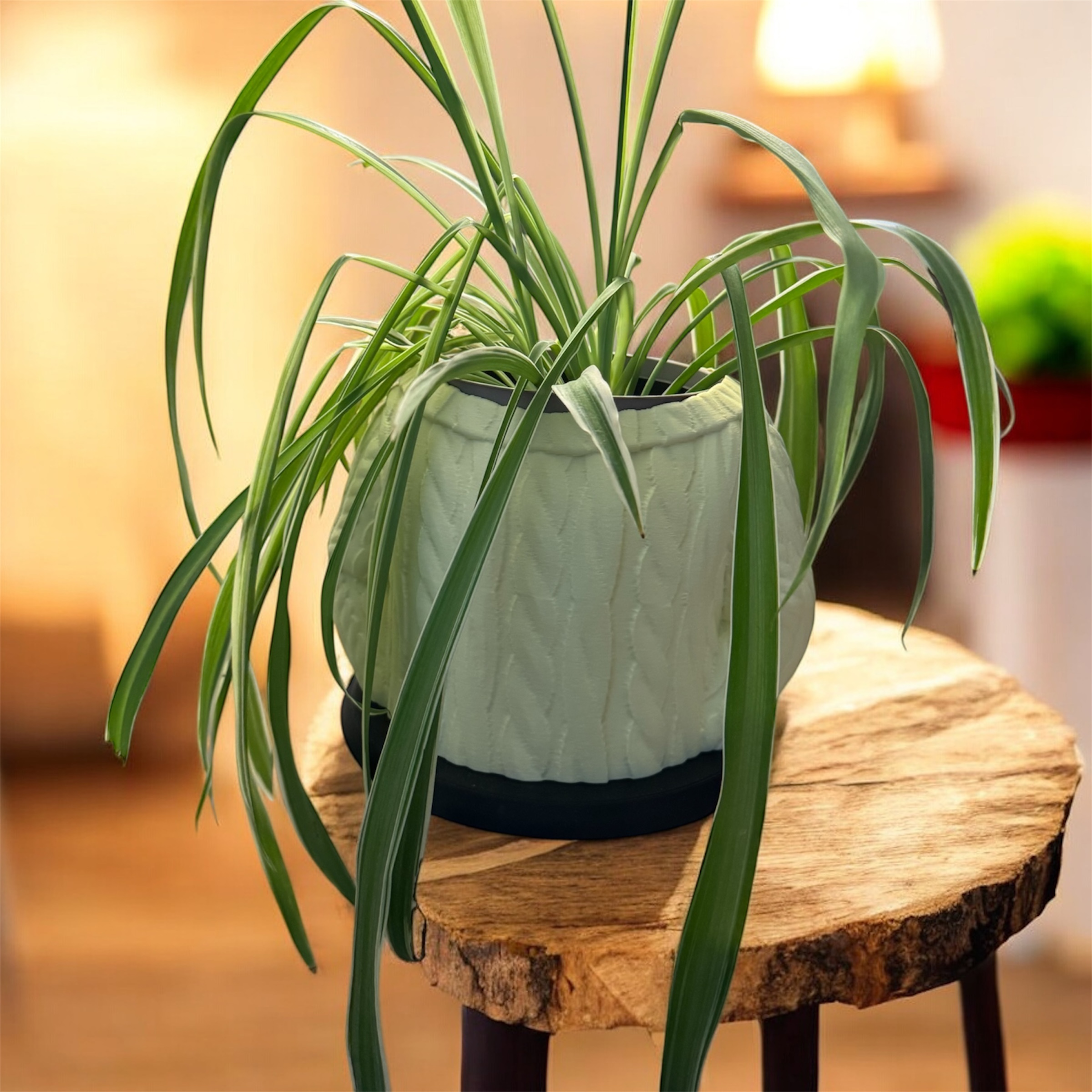 Sweater Planter